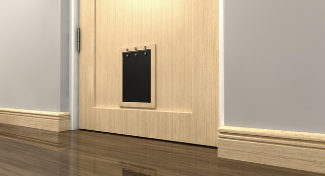 Cat Flap Installation  Mortlake, SW14